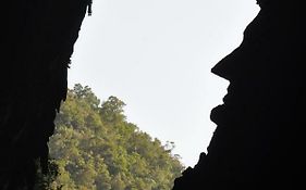 Mulu National Park